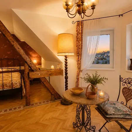 Authentic Heritage - Historic Views - Private Parking & Special Pool And Rates Brasov