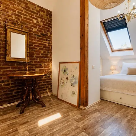 Authentic Heritage - Historic Views - Private Parking & Special Pool And Rates Brasov