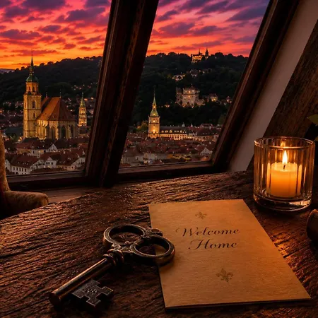 Authentic Heritage - Historic Views - Private Parking & Special Pool And Rates Brasov